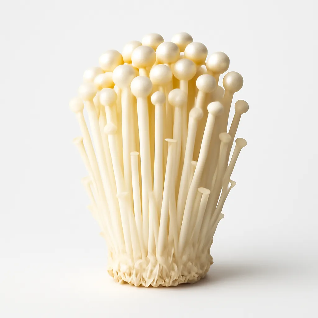 Enoki