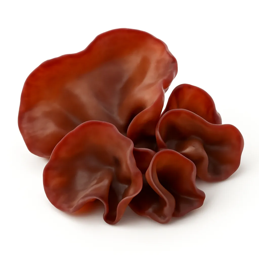 Wood ear mushroom