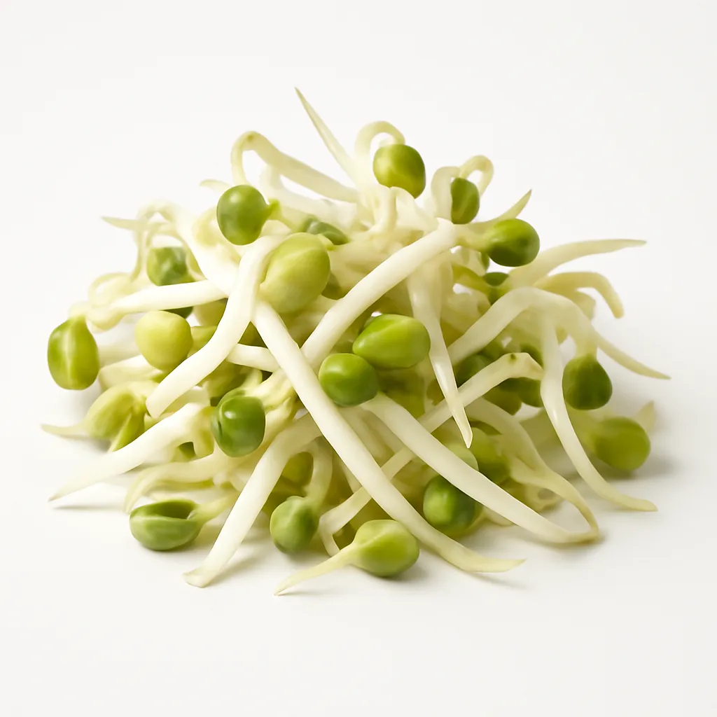 Mung bean sprouts