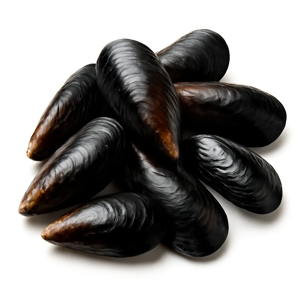 Mussels