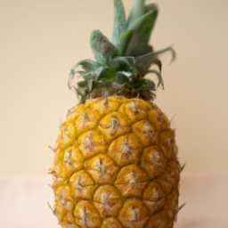 Ananas