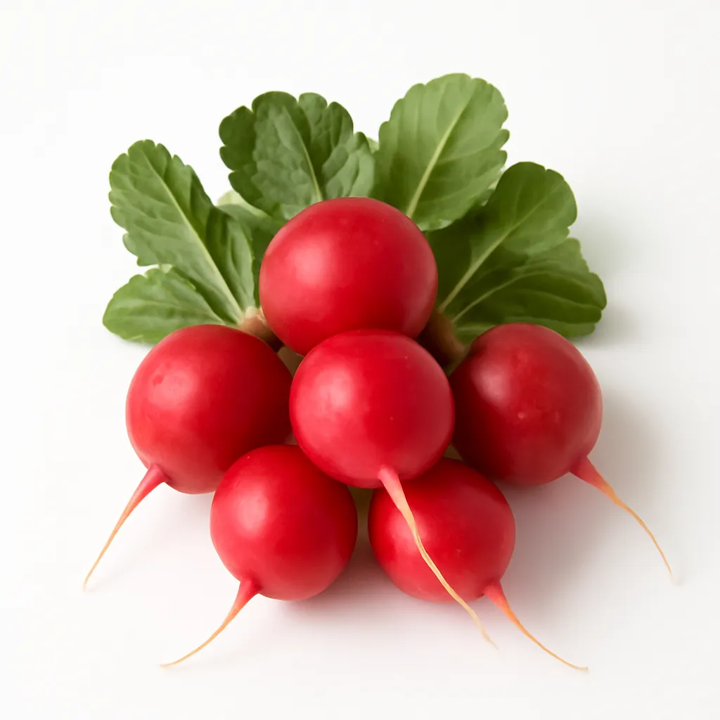 Radish