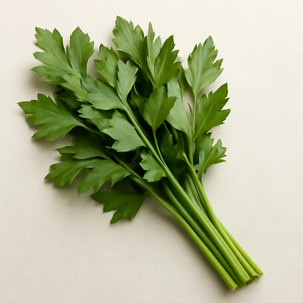 Lovage