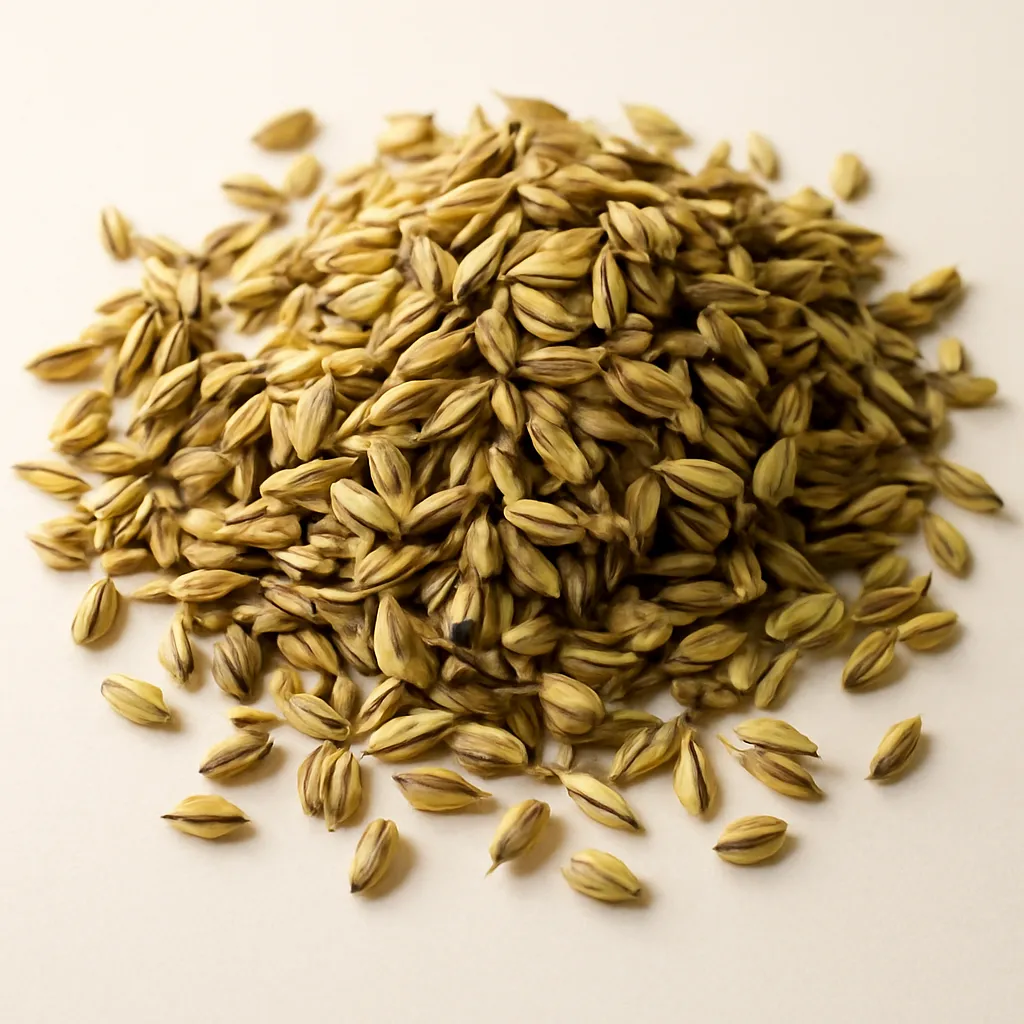 Fennel seeds
