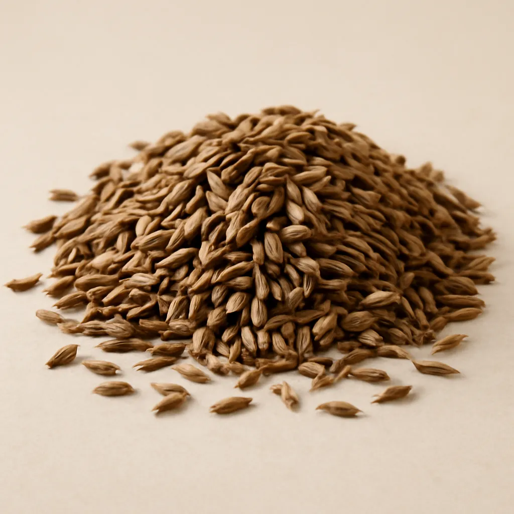 Cumin seeds