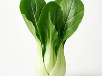 Bok choy