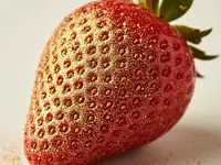 Edible gold dust (optional)