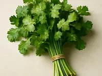 Fresh coriander