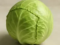 Cabbage