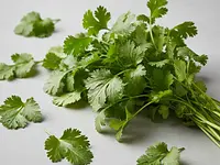 Fresh cilantro