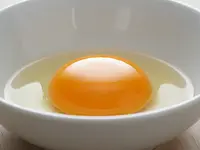 Egg yolk
