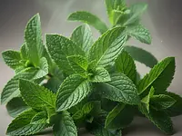 Fresh mint (optional)