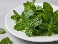 Fresh mint (for decoration)