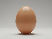 Egg (whole)