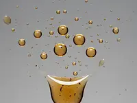 Wanilia (ekstrakt waniliowy)