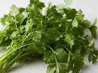 Cilantro (fresh)