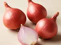 Shallot