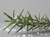 Sprig of rosemary