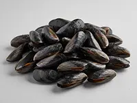 Mussels, fresh, cleaned