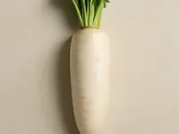 White radish (daikon)