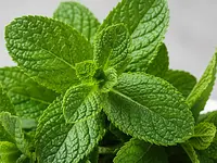 Fresh mint (leaves) (optional)
