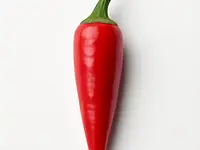 Chili pepper