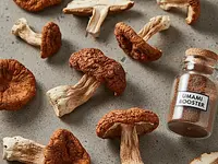 Dried mushrooms (boletus)