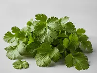 Fresh cilantro (leaves)