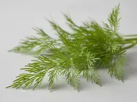 Fresh dill (for decoration)