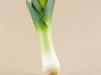 Leek (white and light green part)