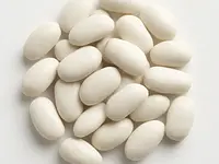 White bean