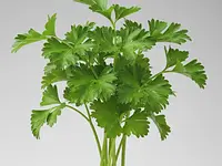 Parsley (for decoration, optional)