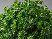 Parsley (for serving, optional)