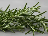 Fresh rosemary