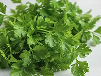 Fresh parsley