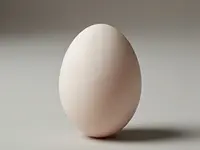 Egg (shortcrust pastry)