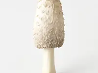 Shaggy ink cap