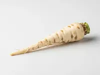 Parsley (root)
