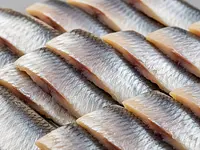 Salted herring - fillets
