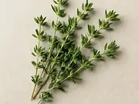 Fresh thyme