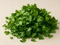 Natka pietruszki (posiekana)