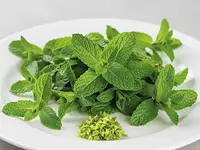 Fresh mint (optional)