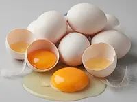 Large chicken eggs