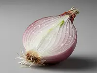 Shallot onion