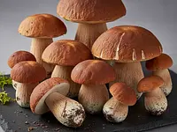 Grzyby leśne (świeże lub mrożone)