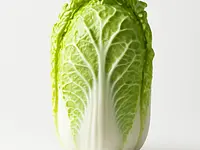 Chinese cabbage
