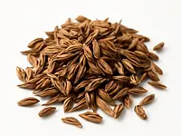 Cumin
