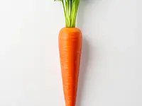 Carrot