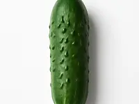 Cucumber