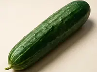 Fresh cucumber